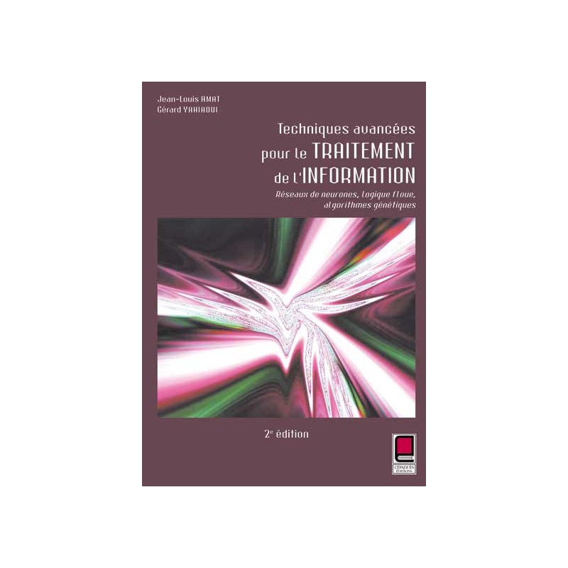 Techniques Avancées de l'Information   2e édition