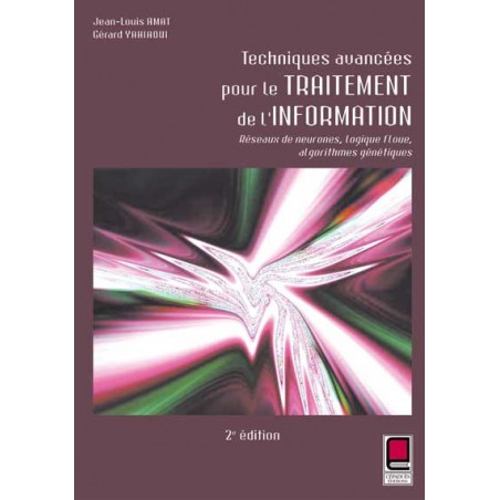 Techniques Avancées de l'Information   2e édition