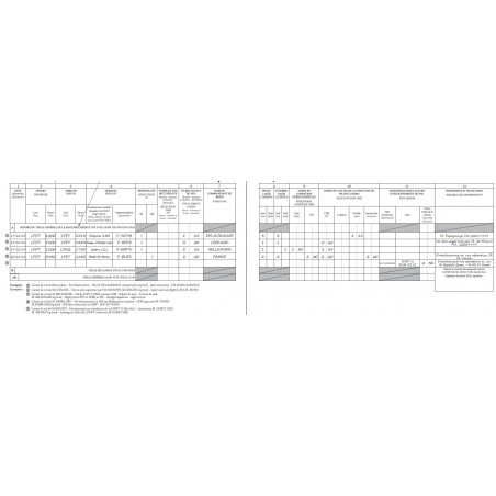 Carnet de vol - Pilot logbook (Avion ou ULM)