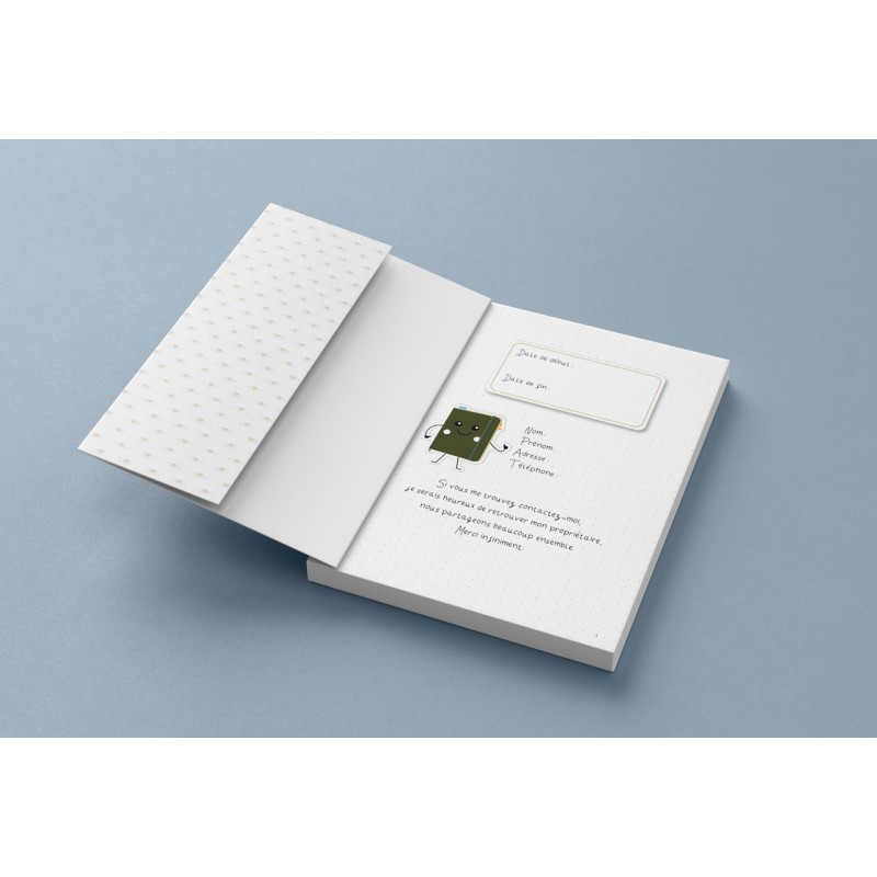 Comment bien bujoter. Mon premier bujo déjà illustré