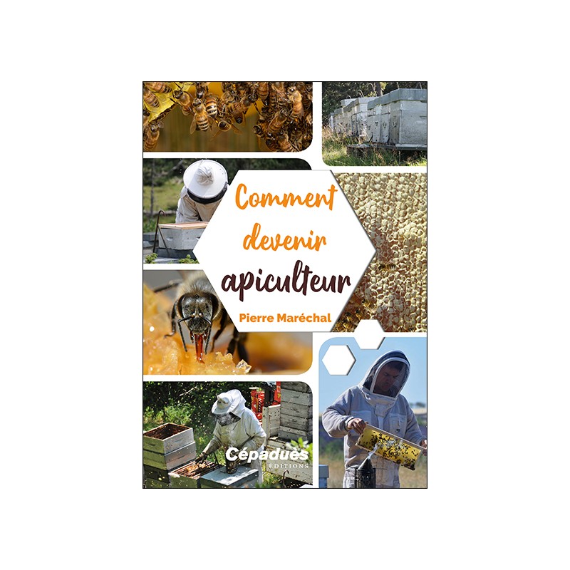 Comment devenir apiculteur