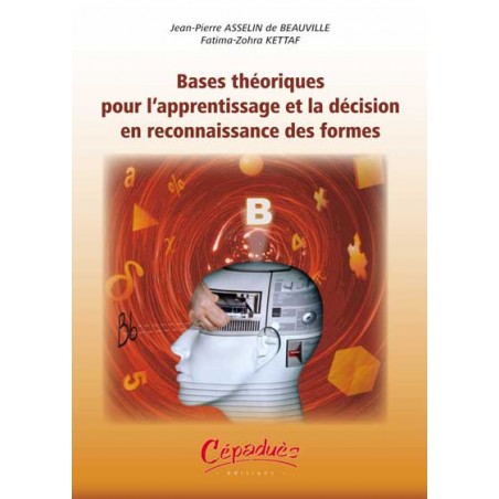 BASES THEORIQUES POUR L'APPRENTISSAGE ET LA DECISION EN RECONNAISSANCE DES FORMES