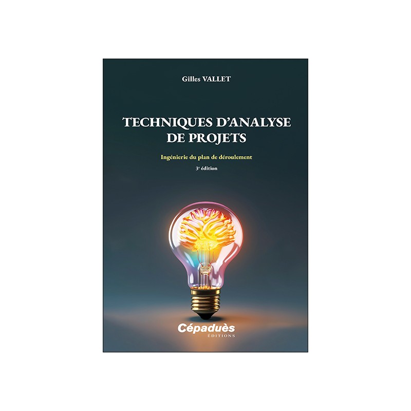 Techniques d’Analyse de Projets. Ingénierie du plan de déroulement