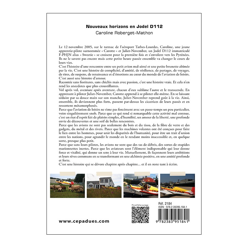 Nouveaux horizons en Jodel D112 (essai)