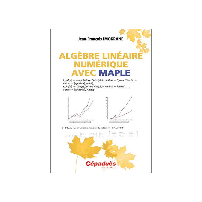 Algèbre linéaire numérique avec MAPLE