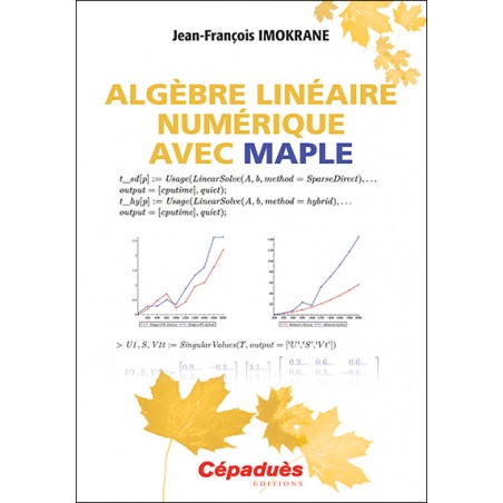 Algèbre linéaire numérique avec MAPLE