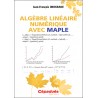Algèbre linéaire numérique avec MAPLE