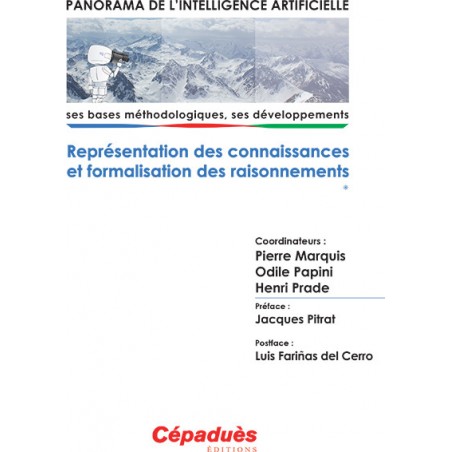 Représentation des connaissances et formalisation des raisonnements, volume 1série : Panorama de l'Intelligence Artificielle