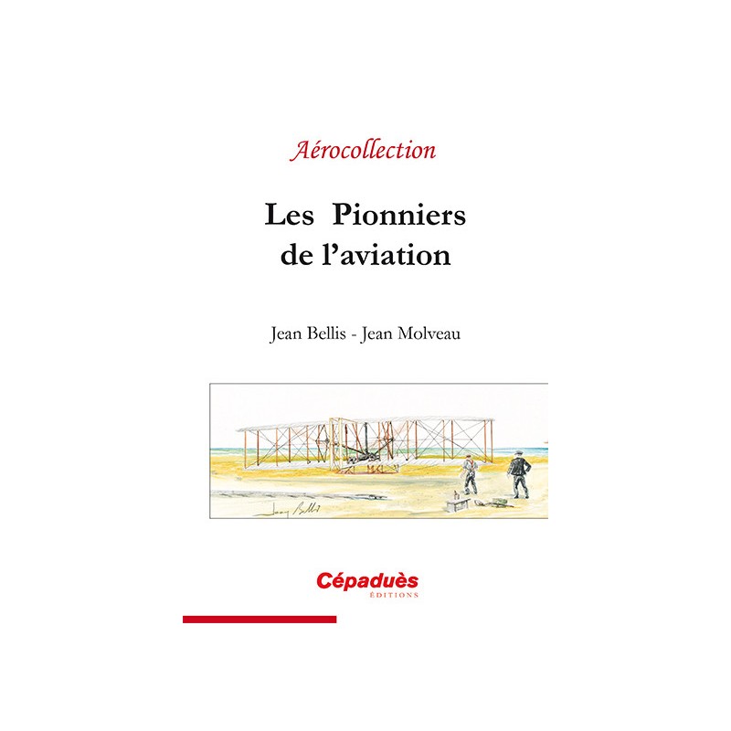 Les Pionniers de l'aviation