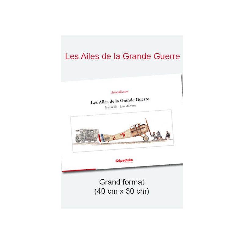 Les Ailes de la Grande Guerre - La Grande Aérocollection - Grand Format