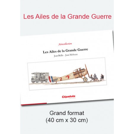 Les Ailes de la Grande Guerre - La Grande Aérocollection - Grand Format